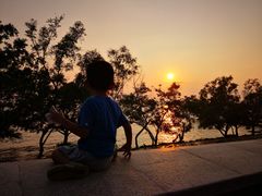 -宝安西湾红树林湿地公园