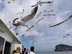 -海驴岛(荣成市)