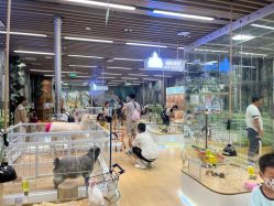 -小象动悟公园(龙湖亦庄天街店)