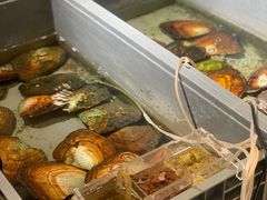 -十八字金·银饰·拼豆·开蚌DIY(魏公芳华里店)