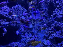 -成都浩海立方海洋公园