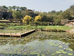 -广州莲花山旅游区