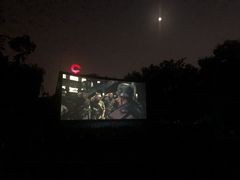-枫花园汽车电影院(朝阳公园店)