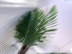 -mango tree芒果树泰国餐厅(青岛万象城店)