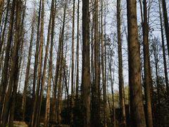 -同里国家湿地公园