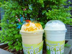 -茉酸奶(春熙路店)