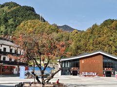 -秦岭天竺山生态文化旅游景区