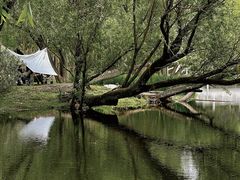 -上海共青森林公园