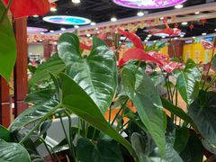 -点都德(千灯湖环宇城店)
