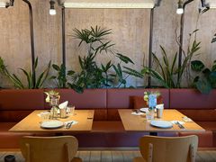 -O'eat Blossom&Pelican(深圳首店)