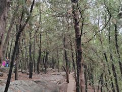 -云龙山