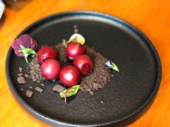 -月龍吟(朝龙汇店)