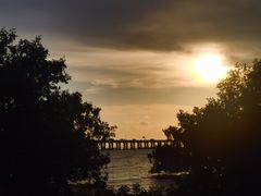 -宝安西湾红树林湿地公园