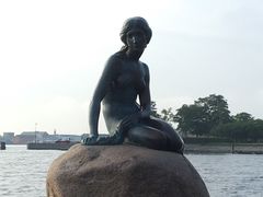-美人鱼