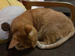 -默迹咖啡馆