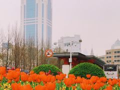 -外滩