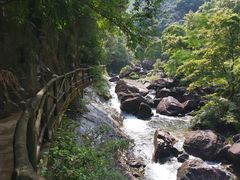 -花岩国家森林公园