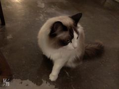 -咖法森林·咖啡  酒吧(天河店)