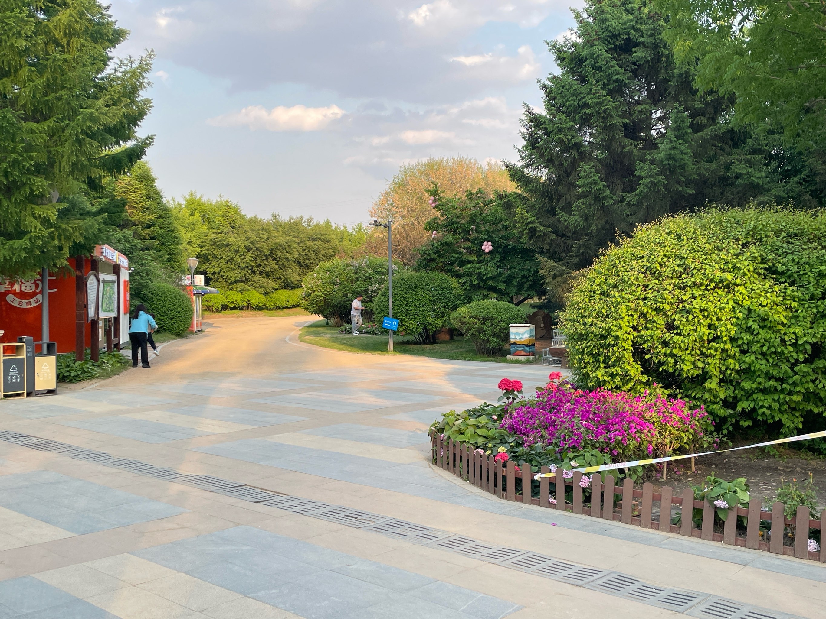 百花园闲逛小记