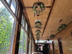 -荣德灶台鱼(圣泉寺店)