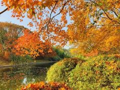 -共青国家森林公园-售票处