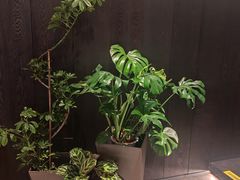 -望京辣宴·古法川菜(望京店)