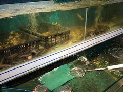 -蛙太牛牛肉海鲜自助火锅(台江万达店)