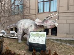 -国家自然博物馆