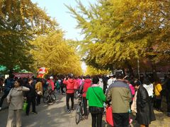 -辽宁大学(崇山校区)
