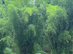 -生态苑农庄(十里画廊遇龙河店)