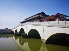 -大湾区中央湿地公园