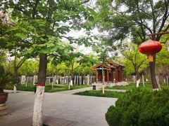 -大槐树寻根祭祖园