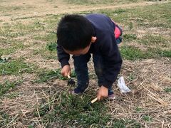 -汉长安城未央宫国家考古遗址公园