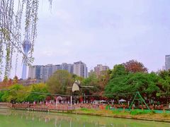 -成都市活水公园