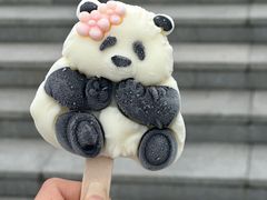 -成都大熊猫繁育研究基地