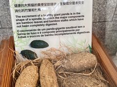 -石排湾郊野公园