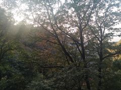-少华山国家森林公园