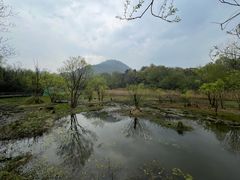 -西湖风景区-江洋畈生态公园