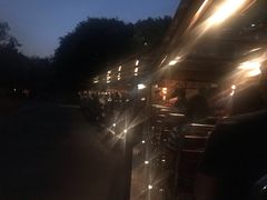 -清迈夜间动物园