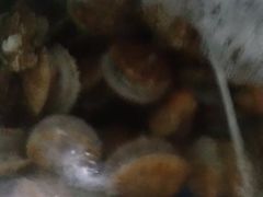 -晓伟海鲜家常菜