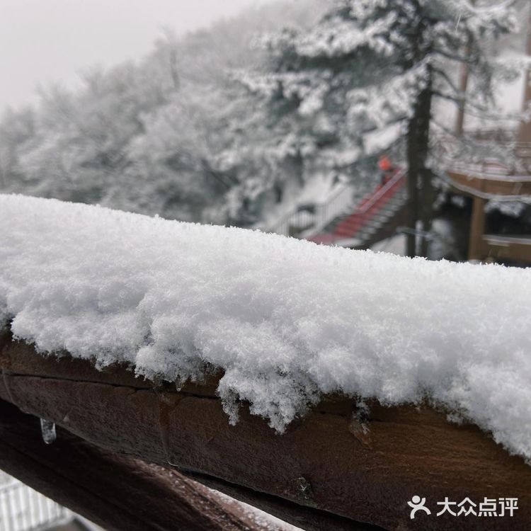 南方冬日的最佳打开方式——玩转云上草原滑雪场