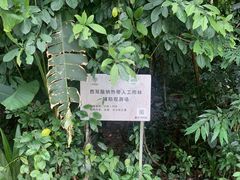 -中国科学院西双版纳热带植物园