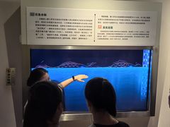 -白鹤梁水下博物馆