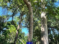 -广西壮族自治区药用植物园