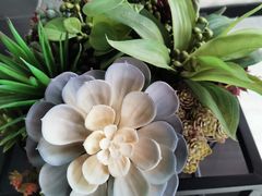 -蜀九香火锅(李家沱店)
