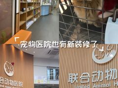 -联合动物医院(光谷诊疗中心)