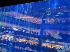 -成都浩海立方海洋公园