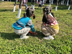 -艾溪湖湿地公园