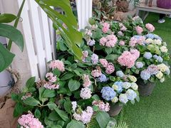 -CHILLAX轻乐时(侨建·Hi City店)