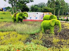 -光明小镇欢乐田园